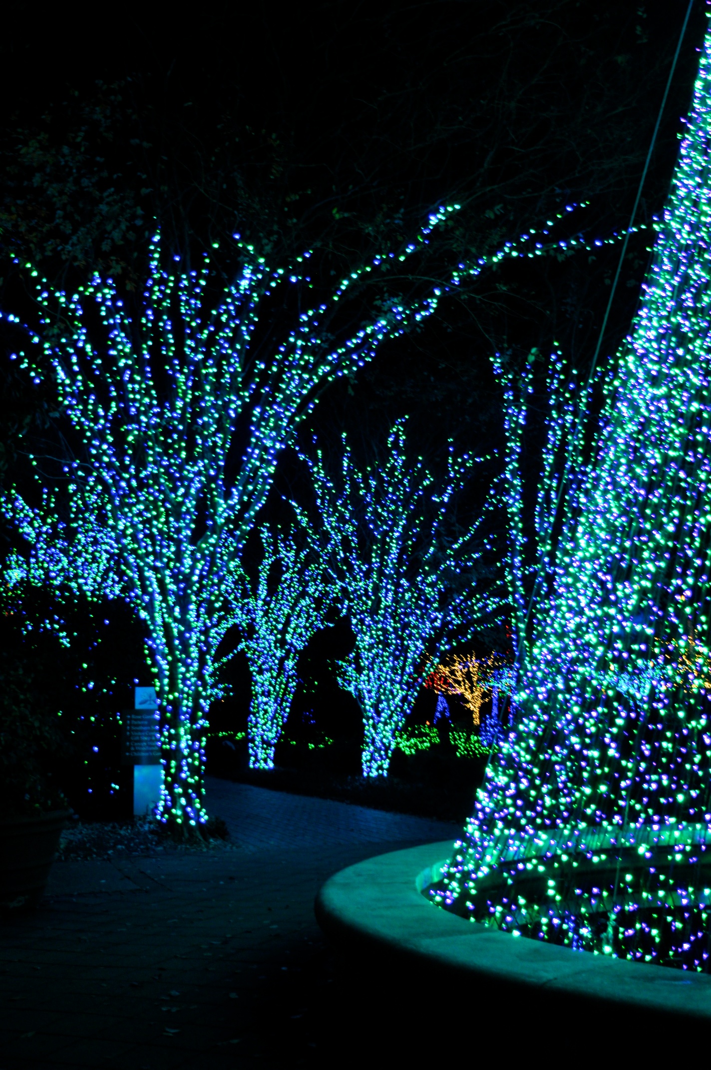 Botanical Garden Garden Lights Holiday Night Atlanta Ga The
